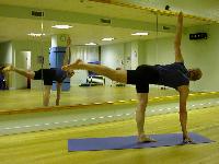 poses/sRevolvingArdhachandrasana.jpg